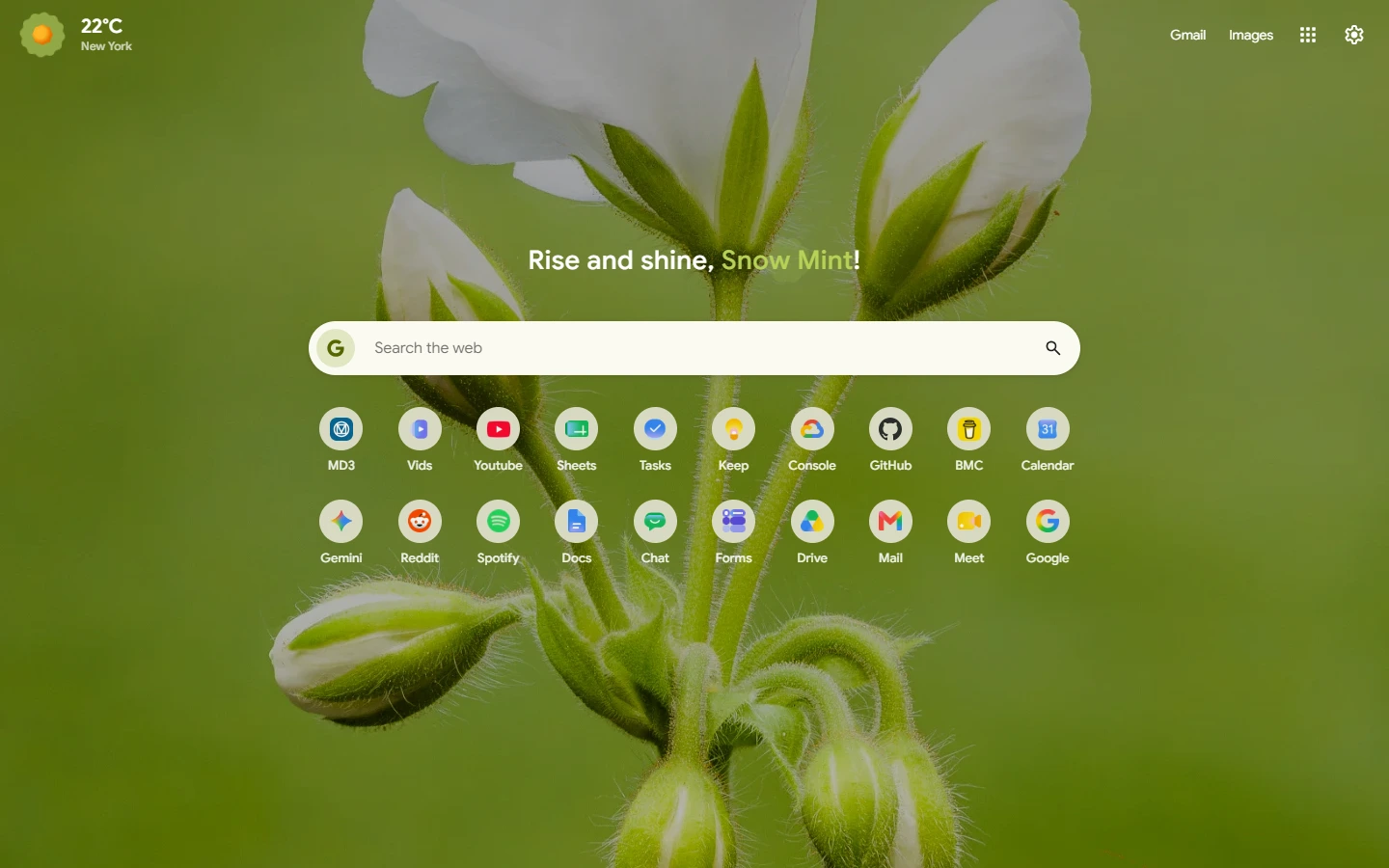 Feature Preview 1